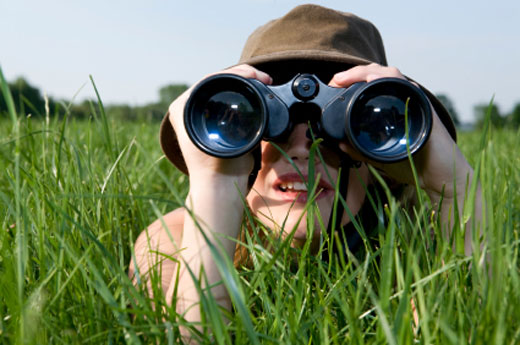 binoculars, rifle scopes and spotting scopes